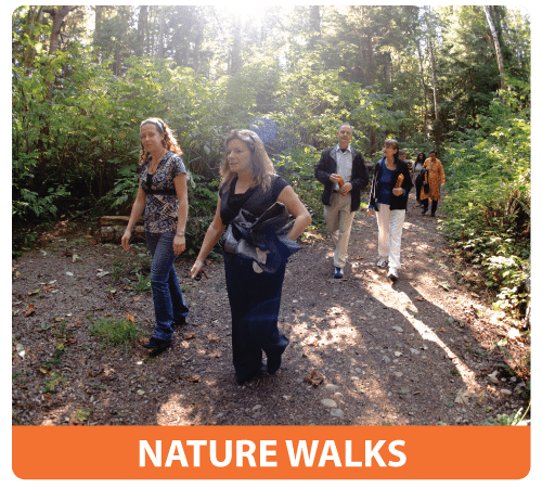 people in nature walk