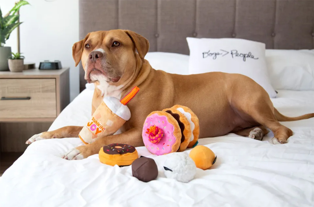 dog on bed with toys