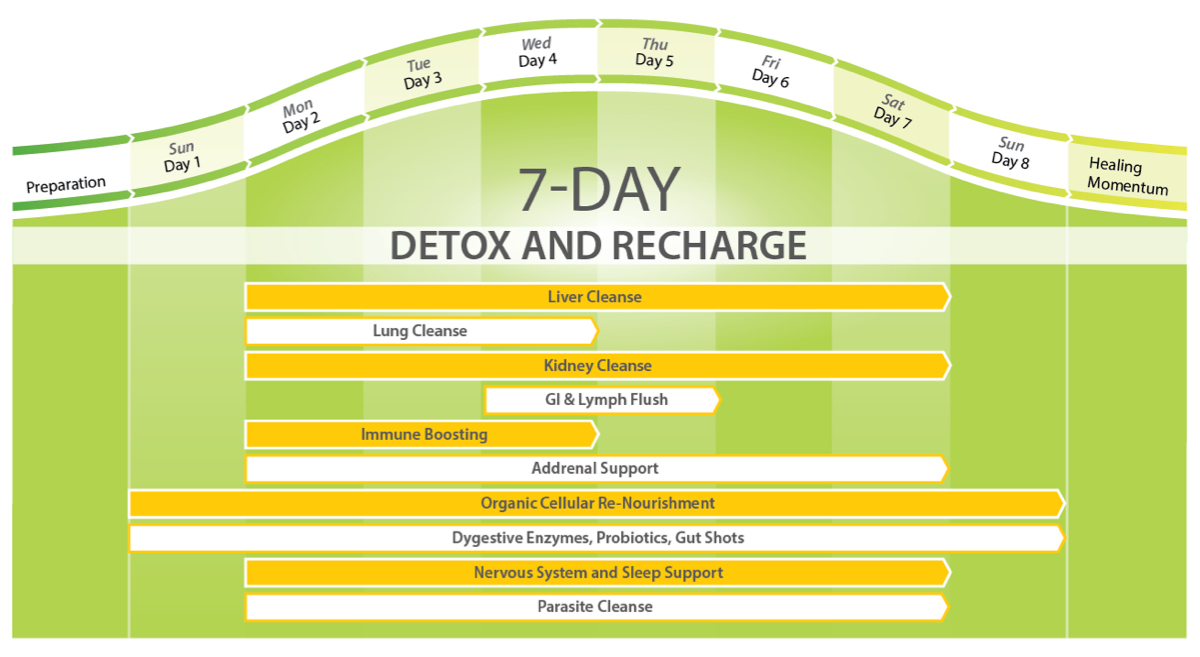 7 Day Detox Program Overview-Full