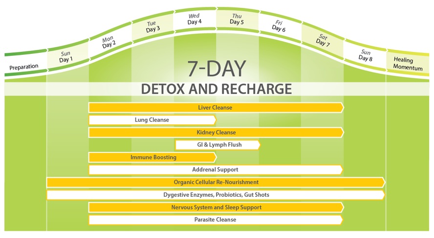 7 Day Detox Program Overview